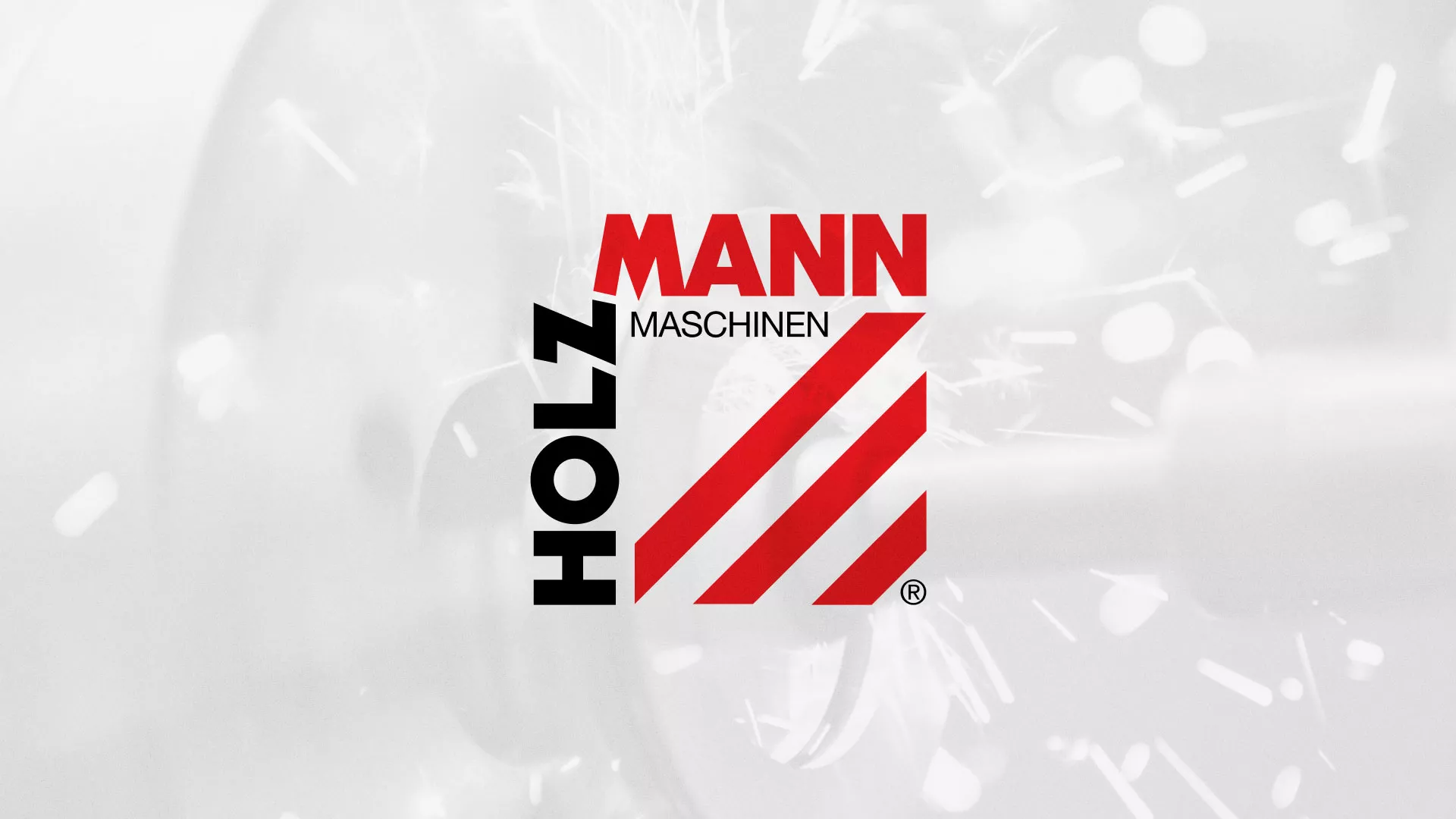 Создание сайта компании «HOLZMANN Maschinen GmbH» в Аниве